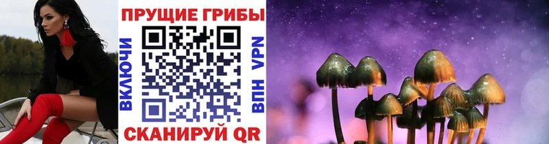Псилоцибиновые грибы GOLDEN TEACHER  Тырныауз 